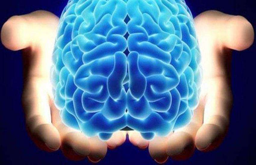 Beynimiz ve yarısıyla yaşamak!