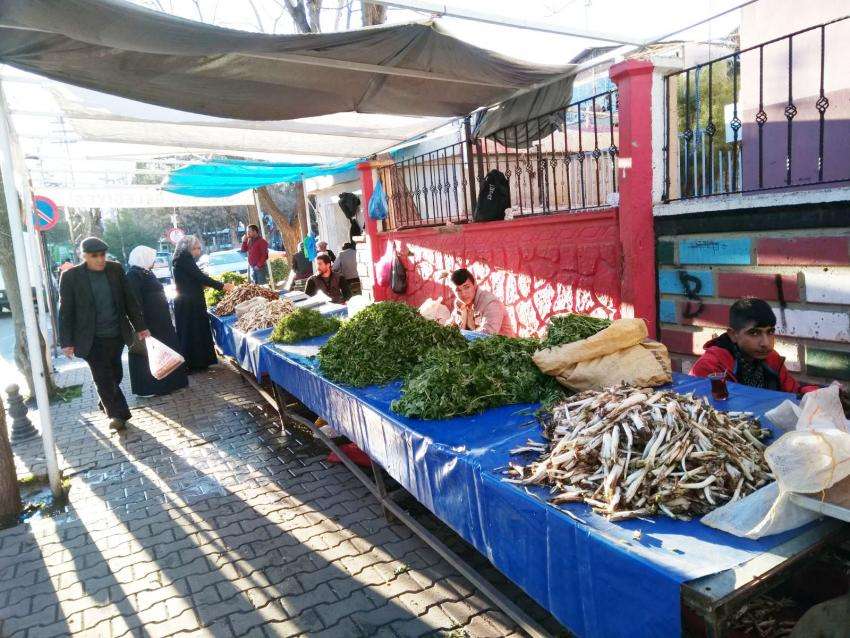  Baharı Simgeleyen Bitkiler Tezgahtaki Yerlerini Aldılar